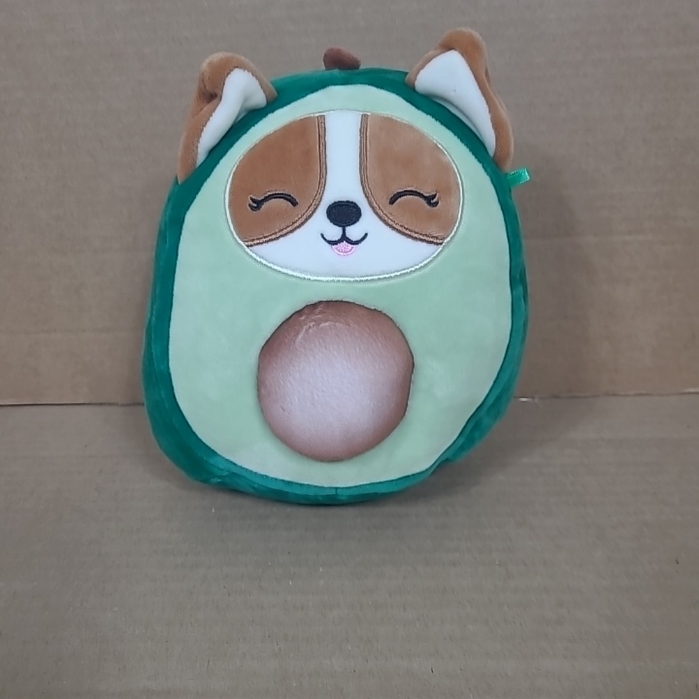Regina The Corgi Dressed As An‎ Avocado Squishmallow